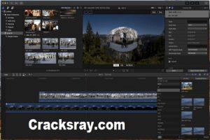 neat video for final cut pro x torrent