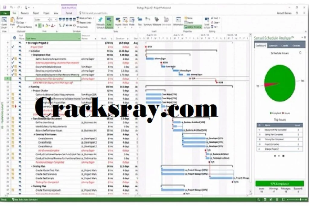 Microsoft Project Crack
